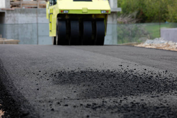 Best Driveway Paving Contractor  in Liolnton, NC