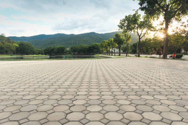 Best Interlocking Driveway Pavers  in Liolnton, NC